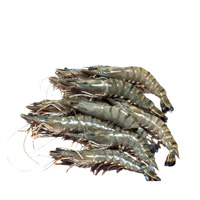 Bagda Chingri (Shrimp) 25-30 pcs ±30 gm