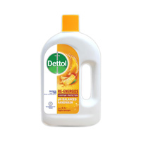 Dettol Handwash Re-Energize Liquid Refill